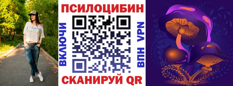 Галлюциногенные грибы Cubensis блэк спрут зеркало Вышний Волочёк цены наркотик
